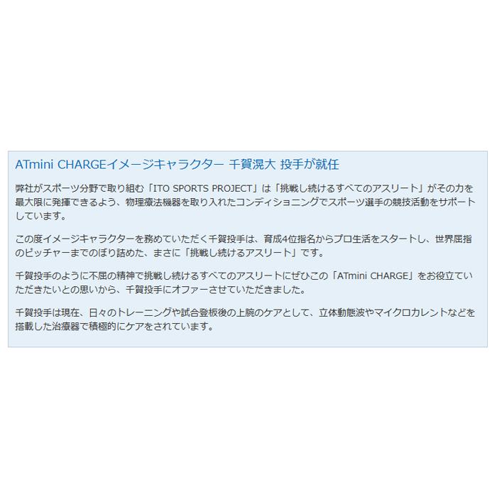 伊藤超短波 AT-mini CHARGE エーティーミニ チャージ 本体セット コンディショニング機器 ポータブル・マイクロカレント_3
