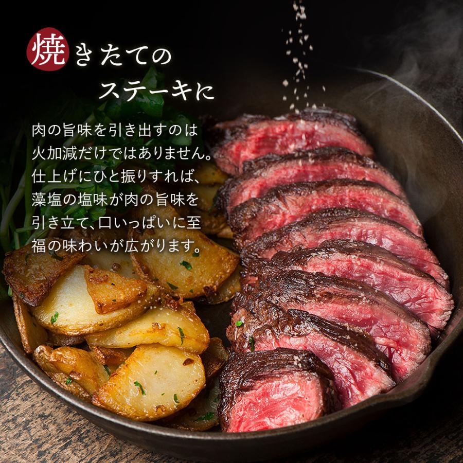 マルニ 公式 長崎県 対馬 焼藻塩 小分け 小袋 個包装 100g(1g×100) 藻塩 お弁当 お惣菜 ポイント消化 | マルニ（食品） | 02