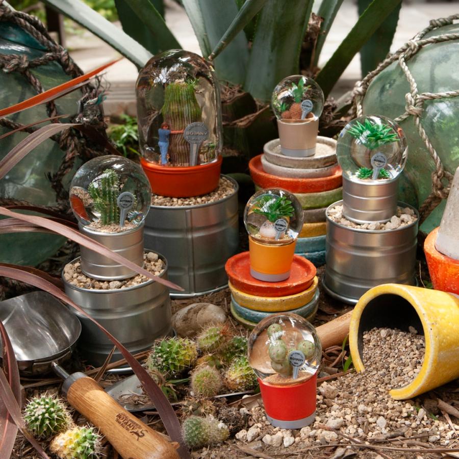 DULTON（ダルトン） PLANTS WATER GLOBE プランツ ウォーター グローブ