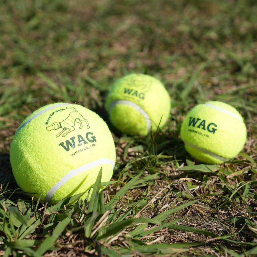DULTON（ダルトン） TENNIS BALL SET OF 3 XS テニスボール ペット用品