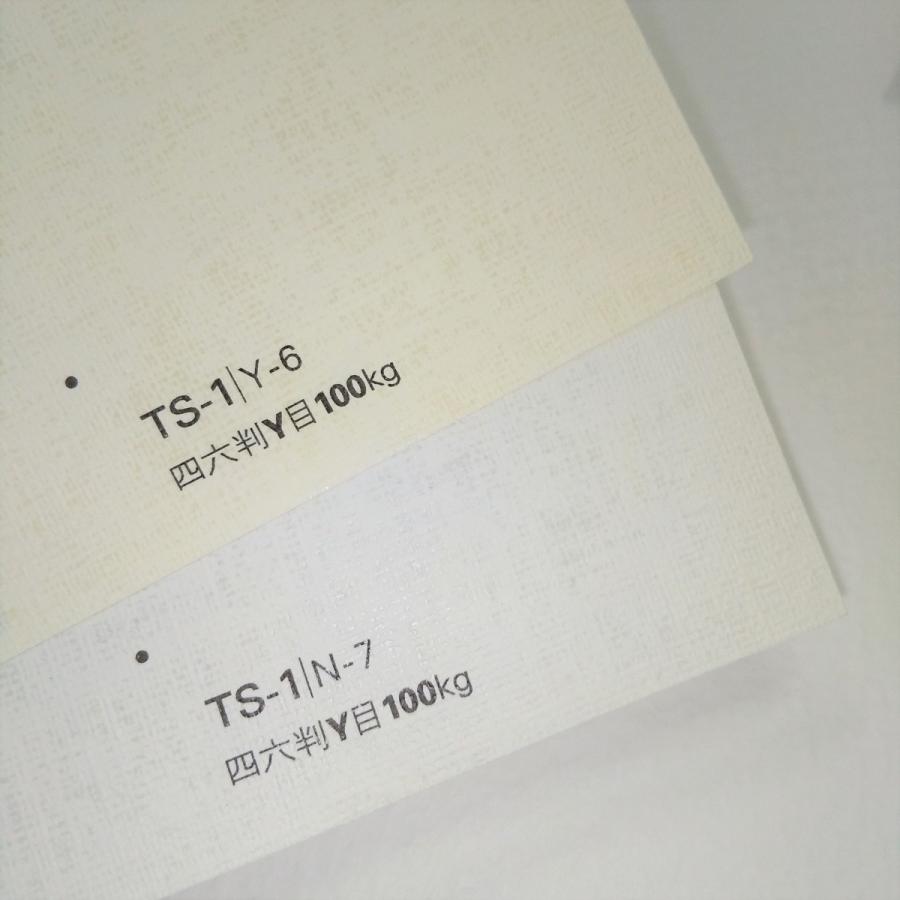 タントセレクトTS-1 100kg A4 20枚|全16色より1色選択 エンボス 布目