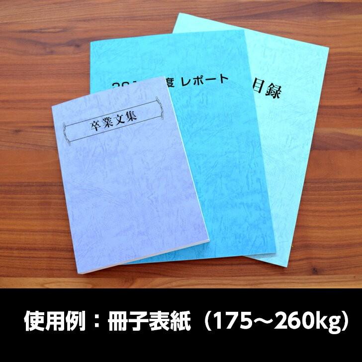 レザック66(B色) 260kg 788×1091mm 1枚|カーフ風 革柄 エンボス 凸凹