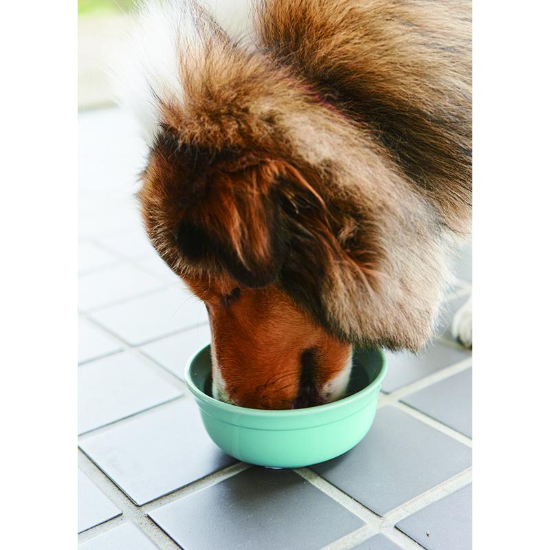 ペット スタンド おしゃれ 食器 かわいい 犬 猫 ねこ いぬ TAMAKI アペティ 猫用 オーバル シングルセット グレー |  | 05