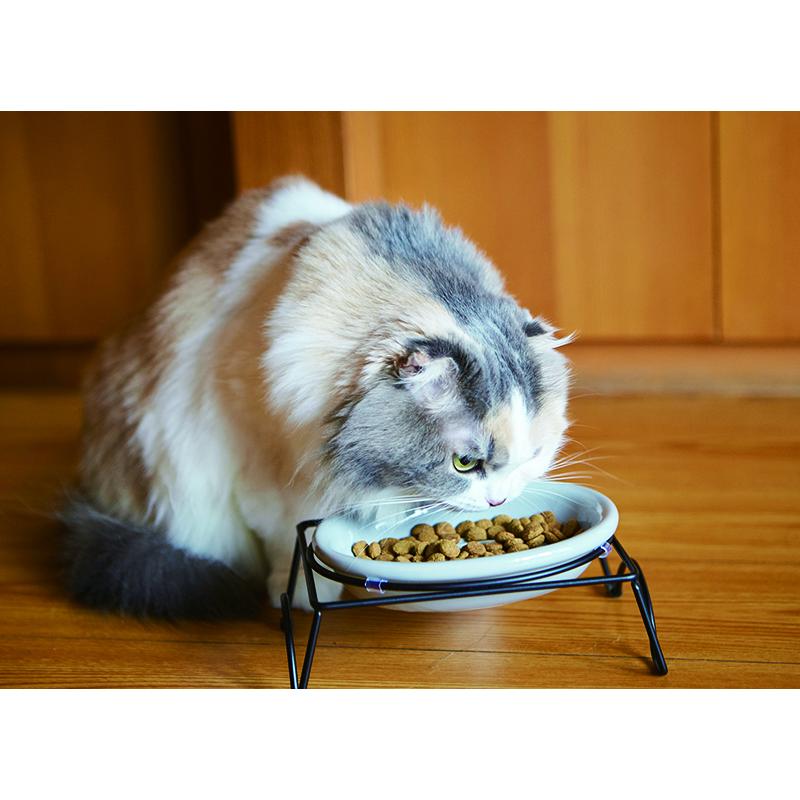 ペット おしゃれ 食器 かわいい 犬 猫 ねこ いぬ TAMAKI アペティ 猫用 オーバル グレー ピンク ブルー |  | 13