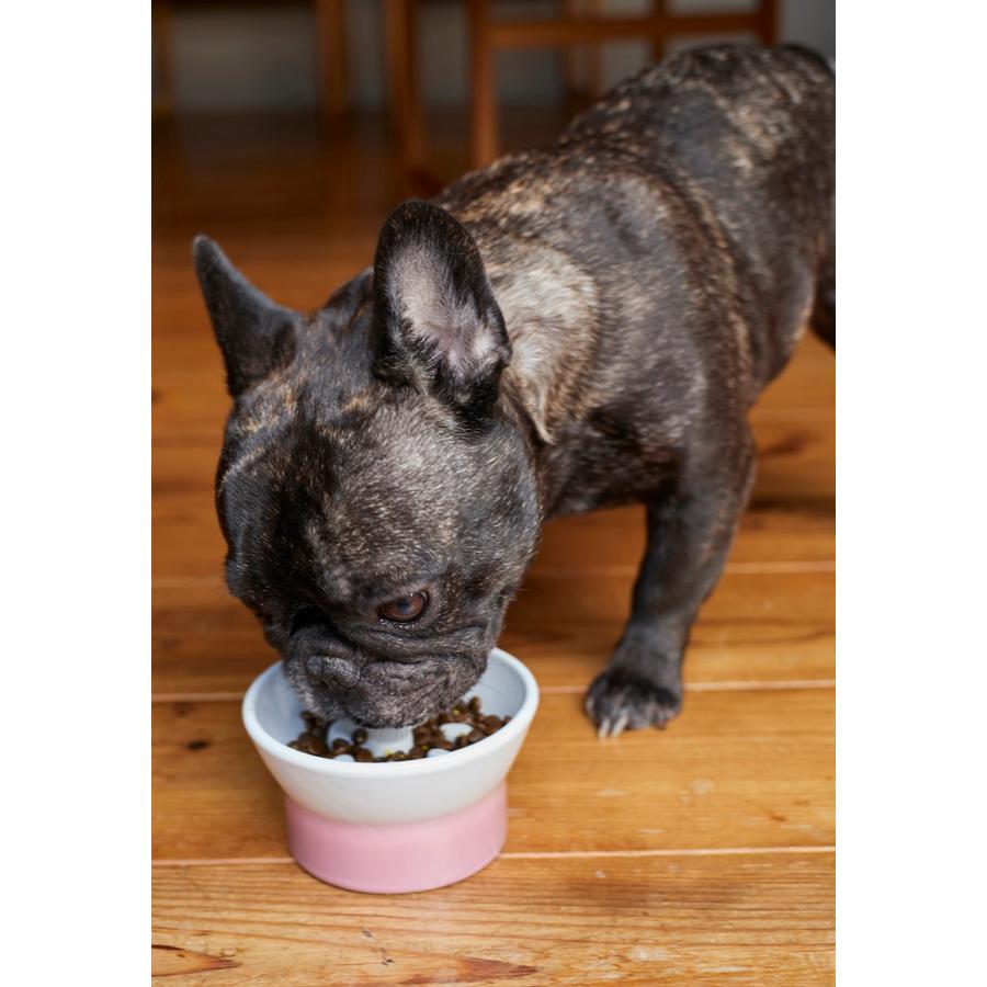 TAMAKI アペティ 肉球型 早食い防止プレート おしゃれ 食器 お皿 おしゃれ かわいい かわいい 愛犬 ペット 動物 餌 |  | 07