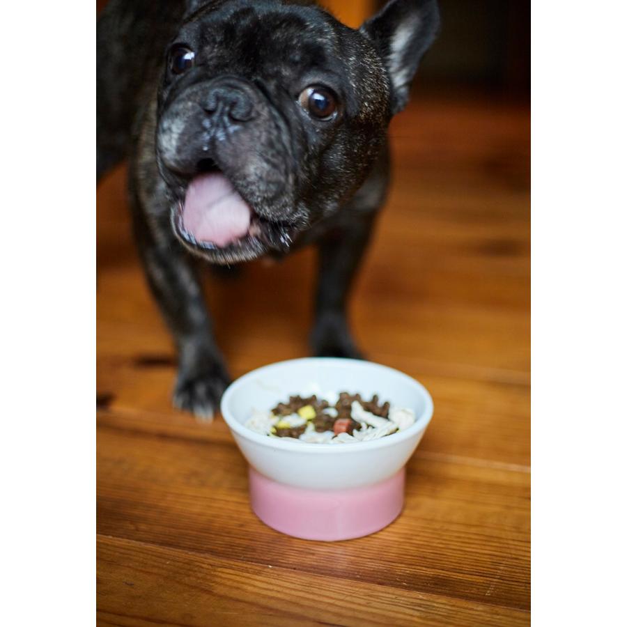 TAMAKI アペティ 肉球型 早食い防止プレート おしゃれ 食器 お皿 おしゃれ かわいい かわいい 愛犬 ペット 動物 餌 |  | 08