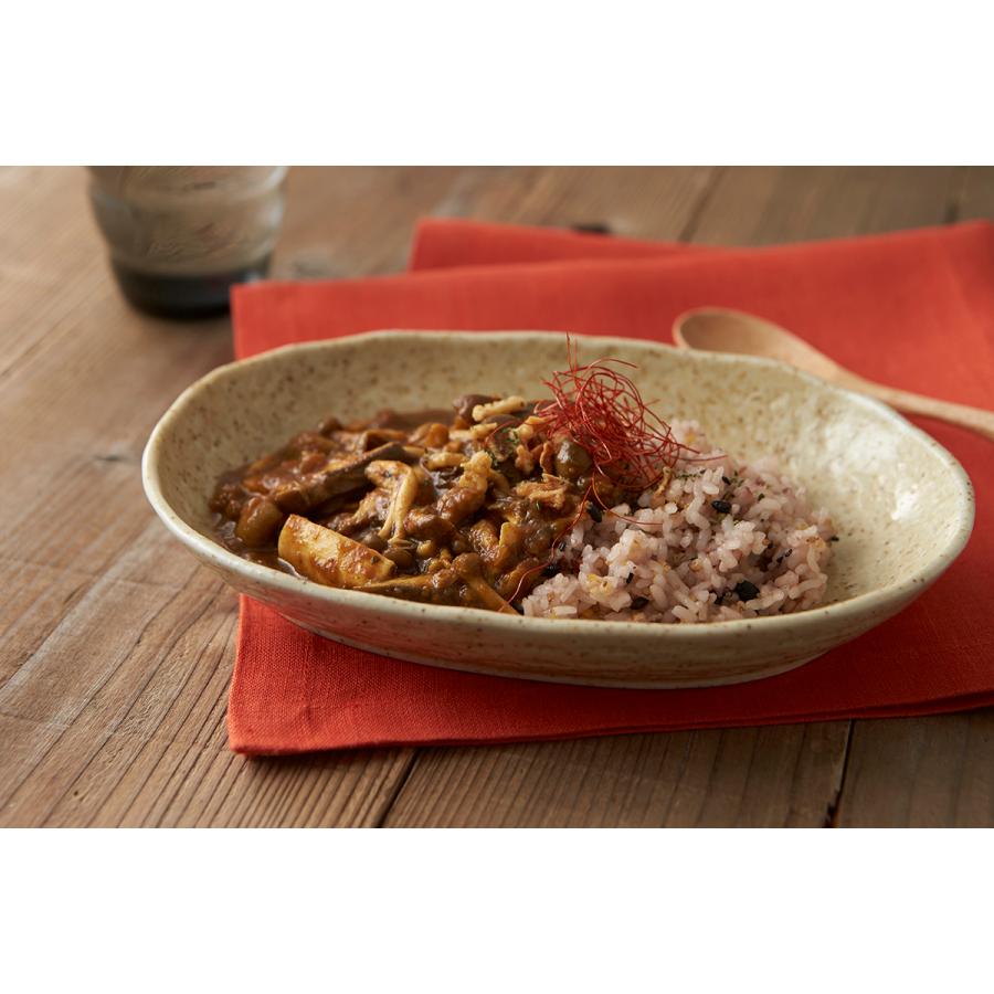 TAMAKI お皿 おしゃれ 食器 和食器 オーバル パスタ カフェ風 TAMAKI お皿 おしゃれ 食器 和食器 オーバル パスタ カフェ風