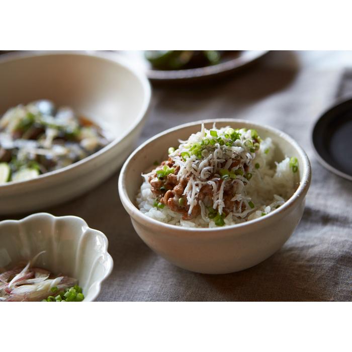 Rikizo 手作り 食器 お皿 おしゃれ 北欧 カフェ風 丸皿 日本製 美濃焼