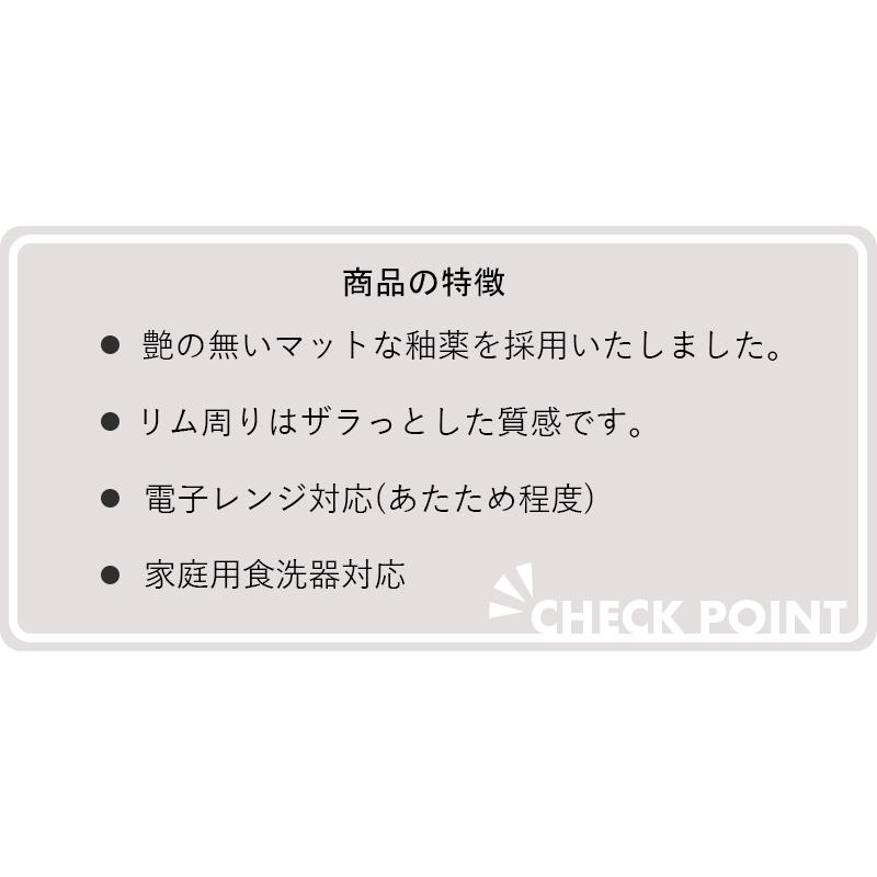 TAMAKI エッジライン 食器 お皿 食洗機対応 電子レンジ対応 おしゃれ かわいい 北欧 カフェ風 カレー&パスタ 21cm 700ml｜maruri-tamaki｜14