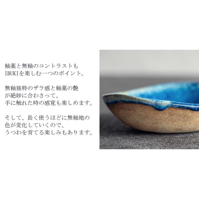 Rikizo カレー皿 お皿 食器 オーバルボウル 21cm Lサイズ 楕円 パスタ
