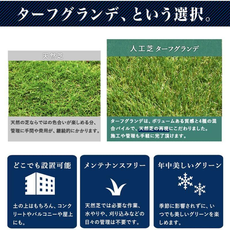 NITTO SEKKO 高級 人工芝 ターフグランデ ふかふか 分厚い (1m×10m， ライト) SEKKO 高級 人工芝 ターフグランデ ふかふか 分厚い 1m×10m， ライト