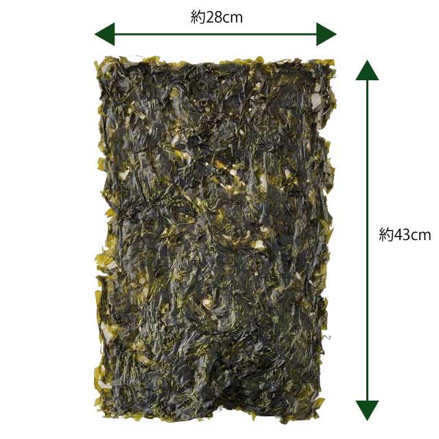 はばのり はば 黒はば 海苔 大判1枚 漁師手作り 希少な海苔 送料無料