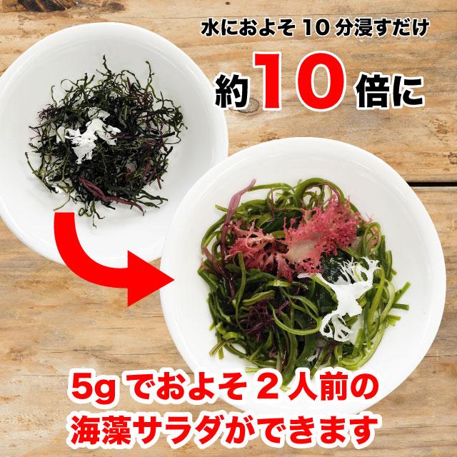 海藻サラダ 国産 乾燥サラダ 7種の海藻 18g お試し品 送料無料