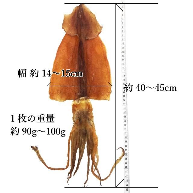 するめいか スルメ 松前産 約190g 特大サイズ 北海道産 (90gから100g 2枚入) 送料無料 |  | 03