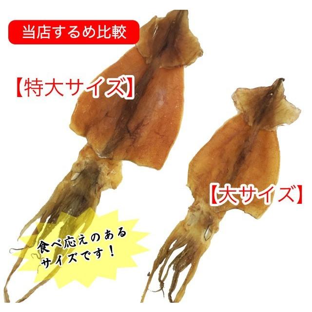するめいか スルメ 松前産 約190g 特大サイズ 北海道産 (90gから100g 2枚入) 送料無料 |  | 04
