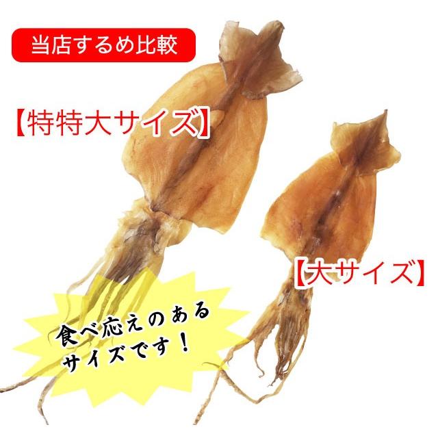 するめいか スルメ 松前産 約230g 特特大サイズ 北海道産 (110gから120g 2枚入) 送料無料 |  | 05