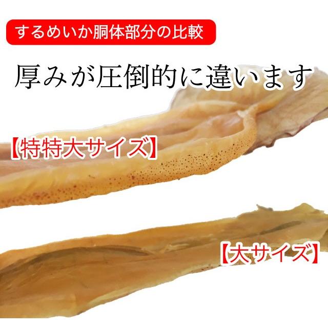 するめいか スルメ 松前産 約230g 特特大サイズ 北海道産 (110g