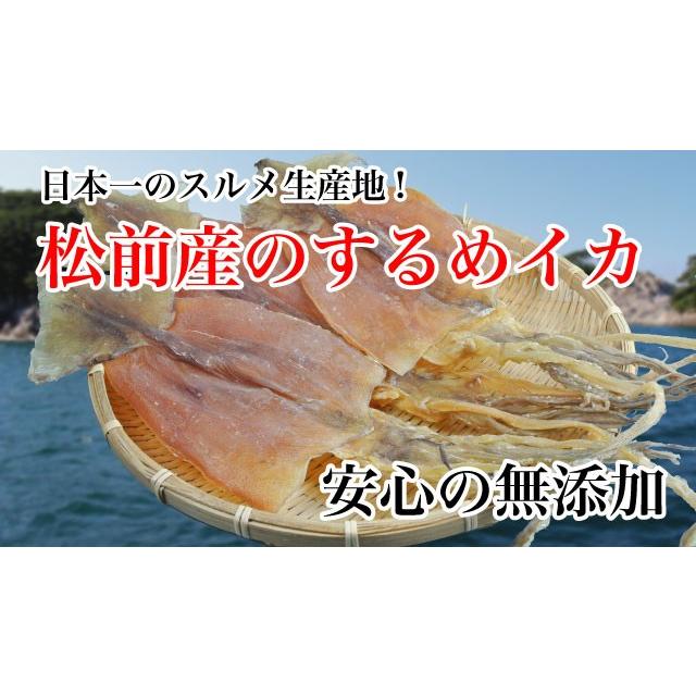 するめいか スルメ 20枚 約1.1kg 北海道松前産 50gから60g 10袋入 送料無料 |  | 03