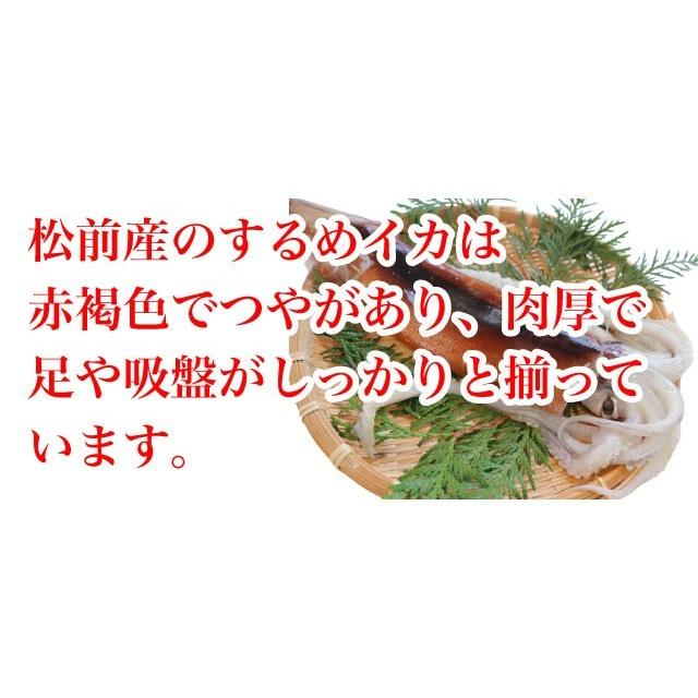 するめいか スルメ 20枚 約1.1kg 北海道松前産 50gから60g 10袋入 送料無料 |  | 04