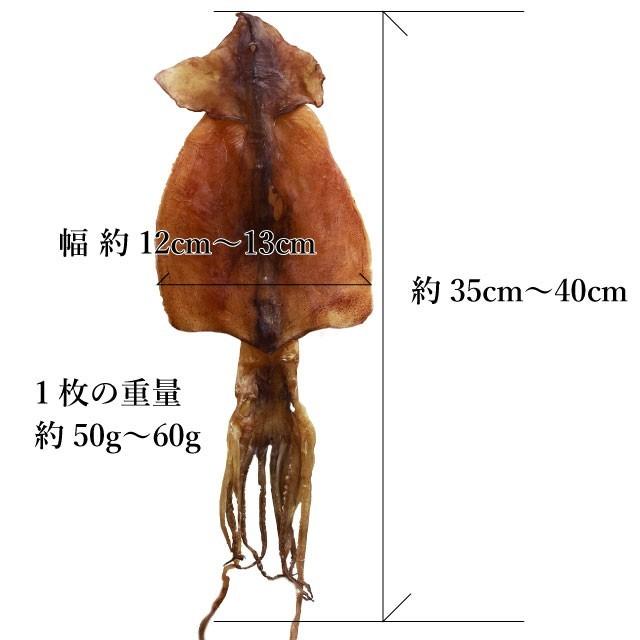 するめいか スルメ 20枚 約1.1kg 北海道松前産 50gから60g 10袋入 送料無料 |  | 05
