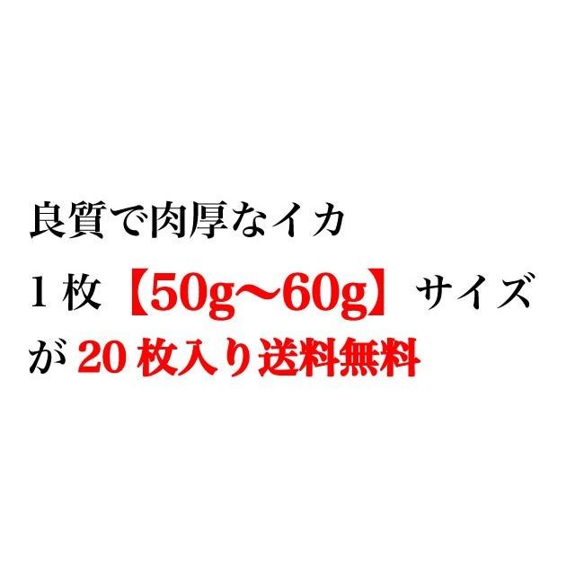 するめいか スルメ 20枚 約1.1kg 北海道松前産 50gから60g 10袋入 送料無料 |  | 06
