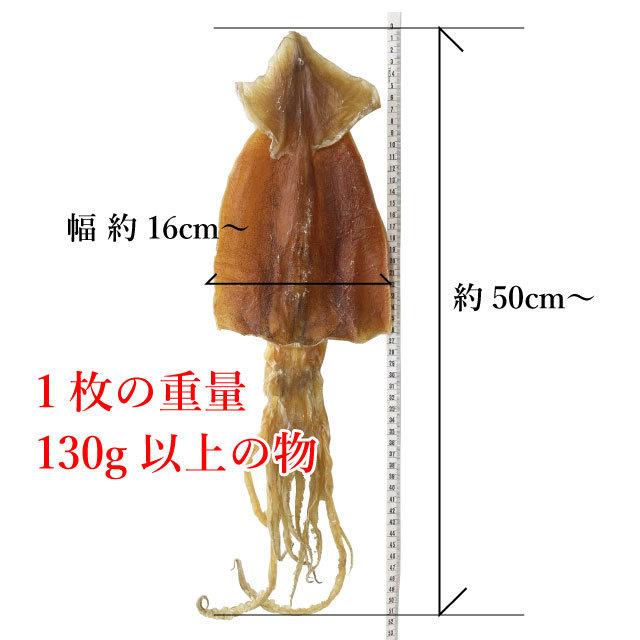 するめいか スルメ 超巨大 北海道産 日本最大級サイズ 1枚130g以上 送料無料 |  | 04