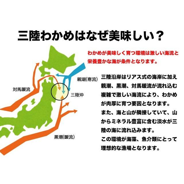 わかめ 三陸産 生わかめ 一等級 180g 国産 原藻 塩蔵わかめ 肉厚 減塩 送料無料｜marusakaisou｜04