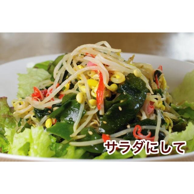 わかめ 三陸産 一等級 生わかめ 1800g (180g×10袋) 三陸産 原藻 塩蔵わ かめ 肉厚 減塩 送料無料 |  | 05