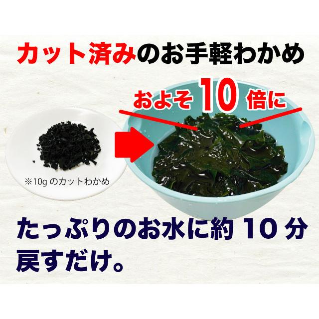 わかめ 乾燥わかめ 三陸産 カットわかめ 大袋 徳用 170g わかめの本場