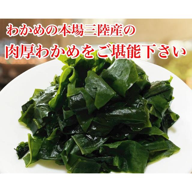 わかめ 乾燥わかめ 三陸産 カットわかめ 大袋 徳用 170g わかめの本場