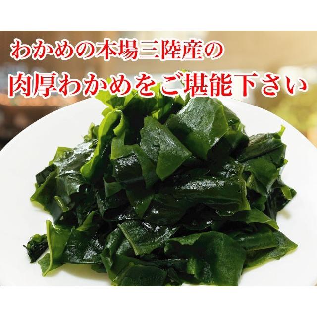 わかめ カットわかめ 乾燥わかめ 三陸産 65g 国産 ポイント消化 送料