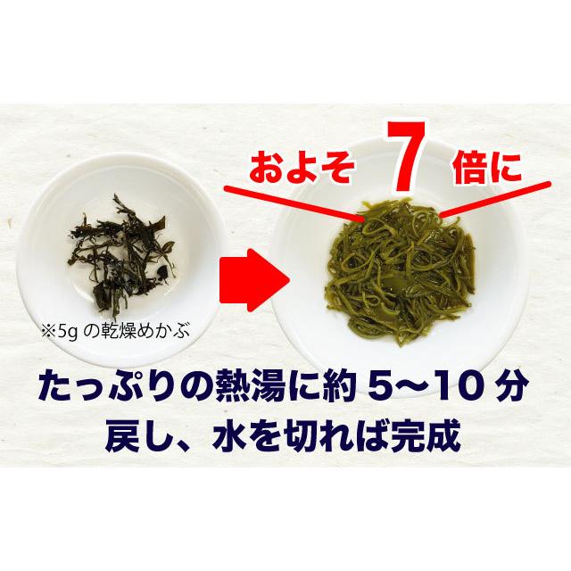めかぶ めひび 乾燥めかぶ 三陸産 35g 国産 ポイント消化 送料無料