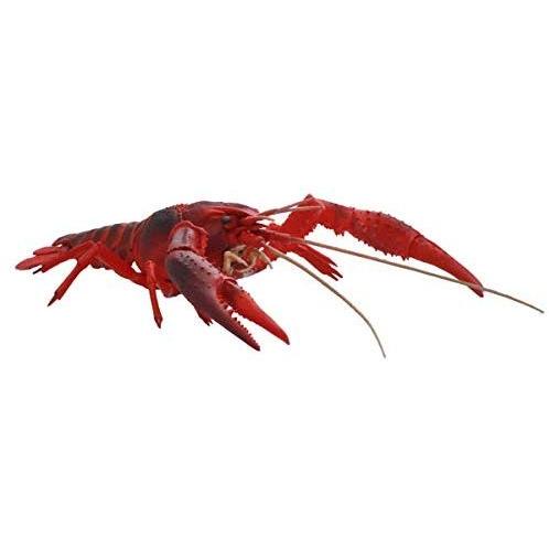 週間売れ筋 フジミ模型 自由研究シリーズ No 24 いきもの編 アメリカザリガニ レッド ノンスケール 色分け済み プラモデル組立キット