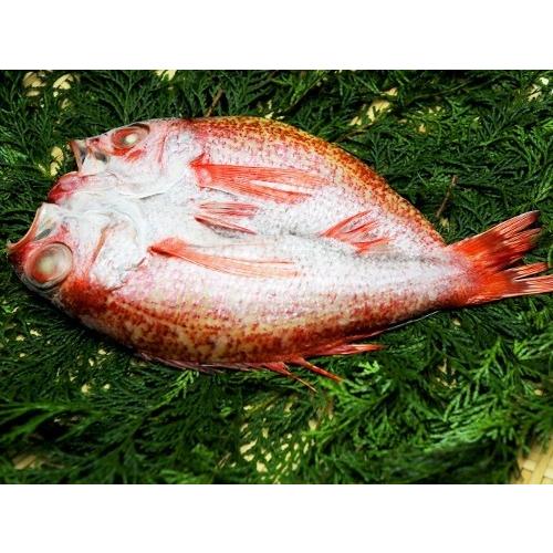 富山湾産のどぐろ一夜干L 350g前後 | 