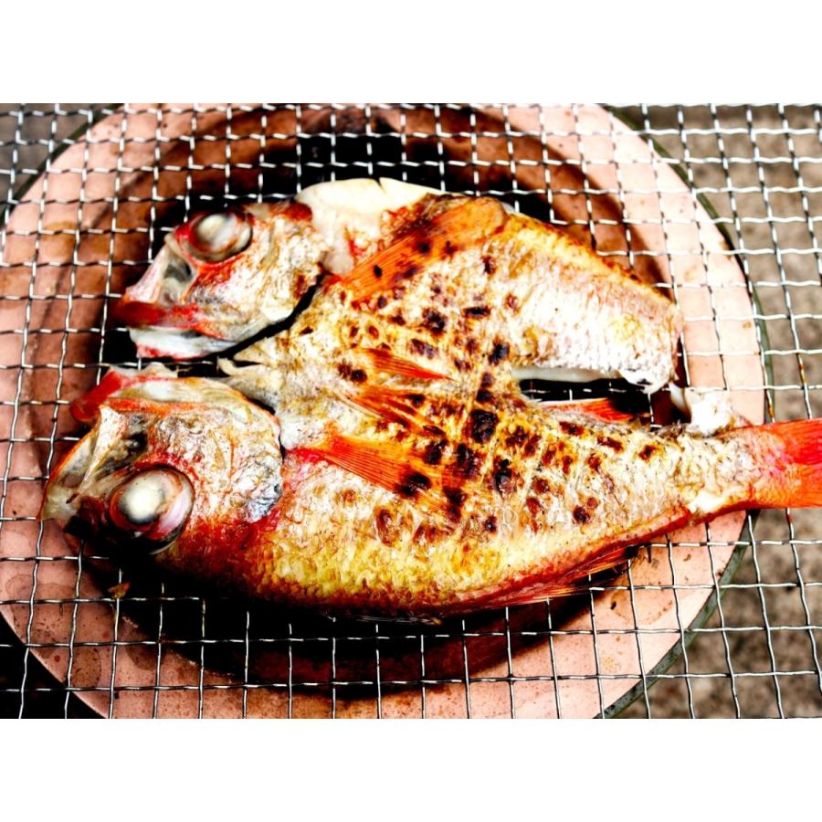 富山湾産のどぐろ一夜干L 350g前後 |  | 02