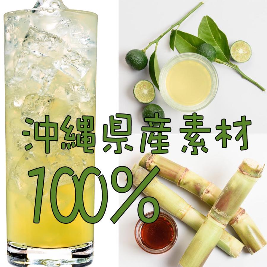 南都酒造所 琉球レモンサワー源酒25度 1500ml×1本 業務用 ペットボトル