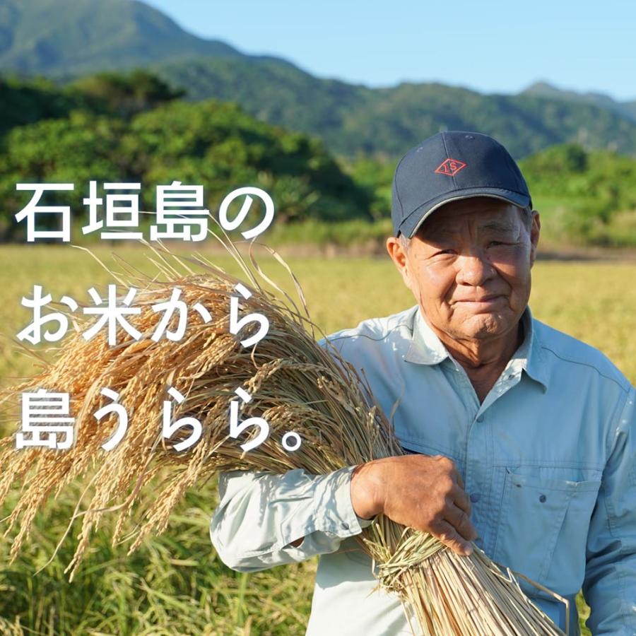 泡盛 八重泉 島うらら25度 720ml×6本 石垣島産のお米100％ : 株式