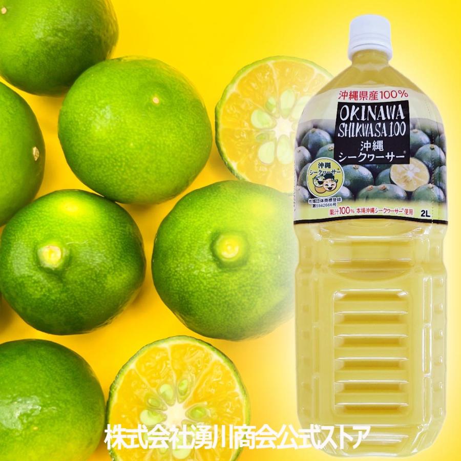 沖縄 シークヮーサー100％ 2L×3本 オキハム 優良県産品 シークワーサー
