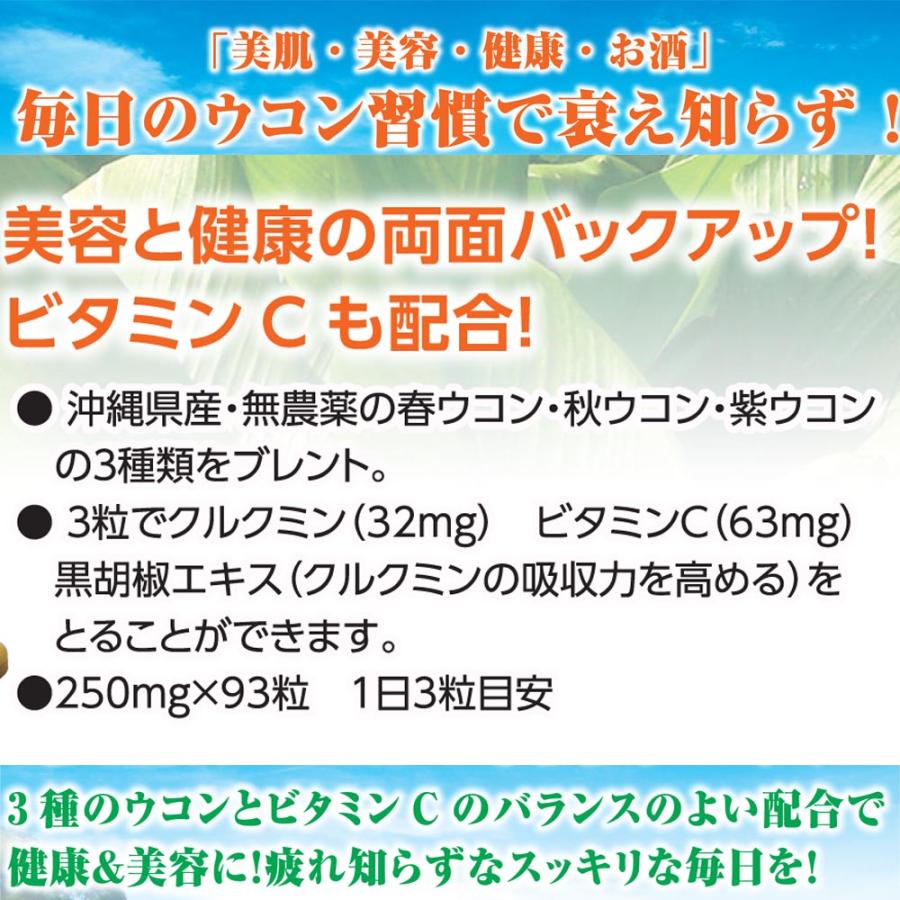金秀バイオ製造 沖縄県産 チャンプルーウコン 3ヶ月分(93粒入×3袋