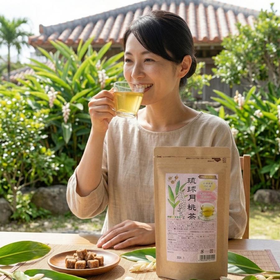 月桃茶 沖縄県産 琉球月桃葉 100％ 30包入×2袋 爆買 : 株式会社湧川