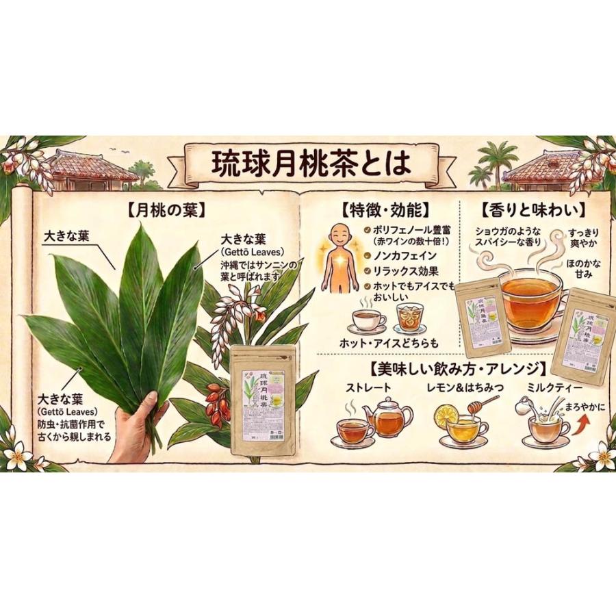 月桃茶 沖縄県産 琉球月桃葉 100％ 30包入×3袋 爆買 : 株式会社湧川