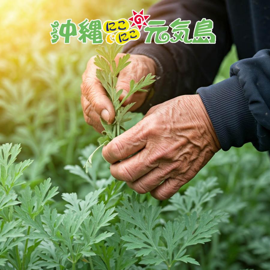 琉球乾燥ヨモギ50g×1袋 ヨモギ茶 茶葉 国産 フーチバー 沖縄県産 無