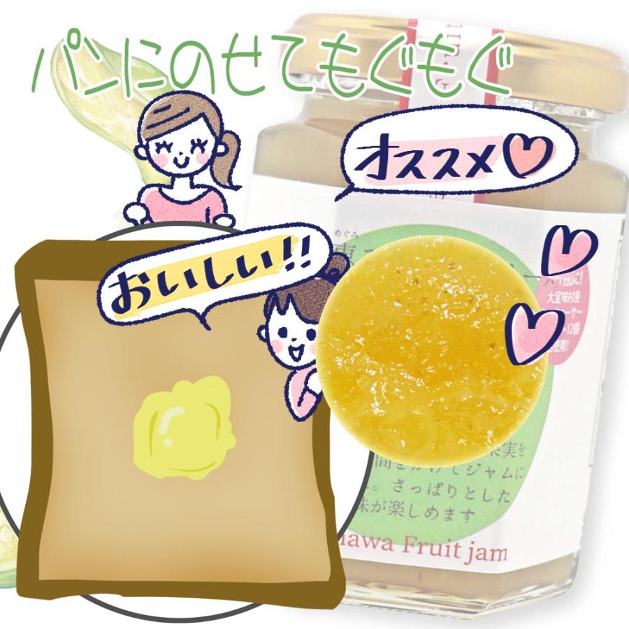 シークワーサージャム 沖縄県産 フルーツジャム 150g×3本 ジャム