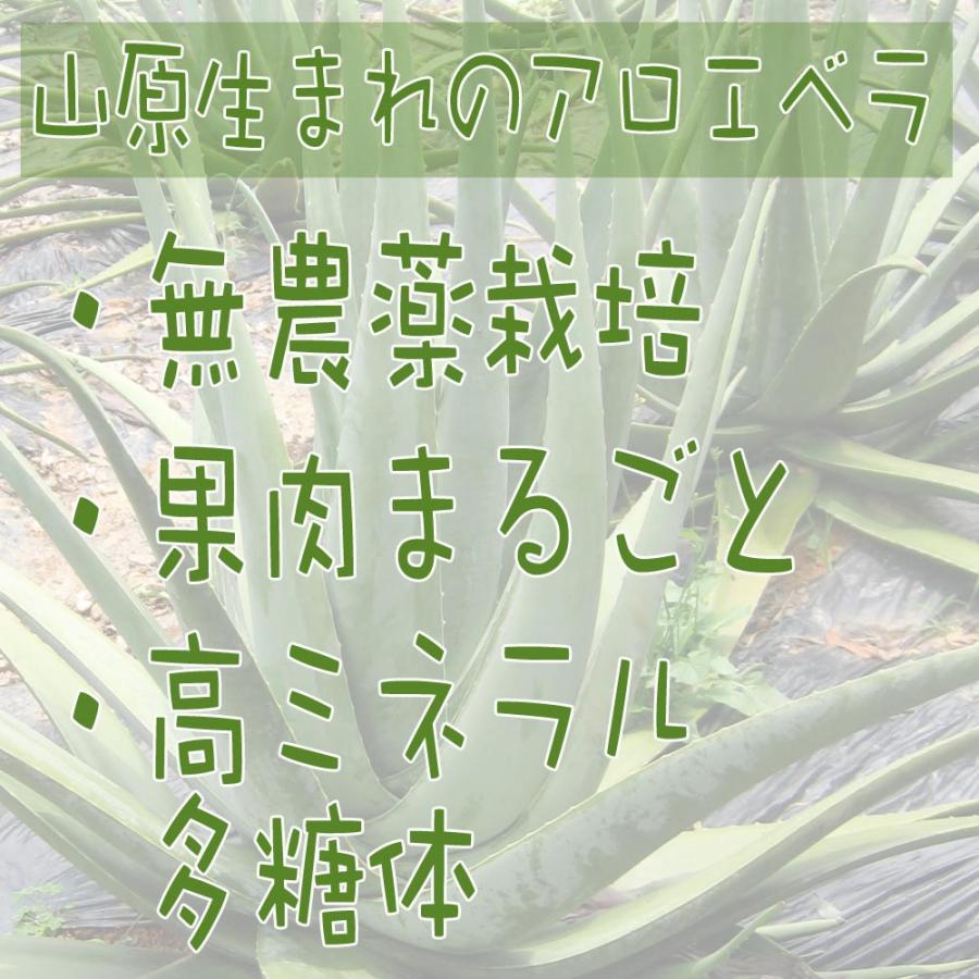 アロエベラジュース 国産 山原生まれのアロエベラジュース 720ml×2本
