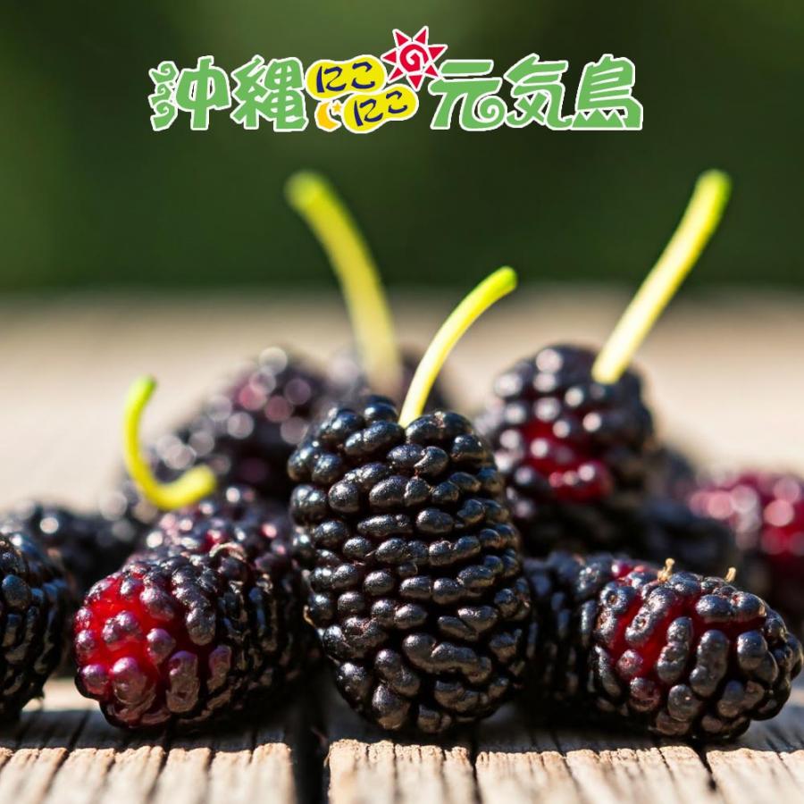 桑の実ジャム フルーツジャム 150g×3本 くわの実 沖縄県産桑の実 浦添