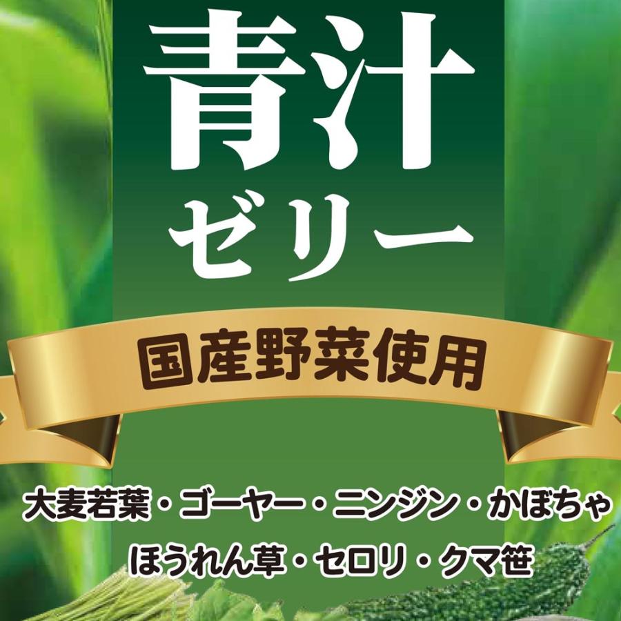 青汁ゼリー リンゴ味 3袋(10g×42包) スティックタイプ 乳酸菌 国産野菜