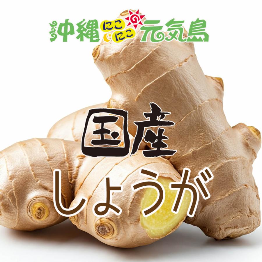 よもぎゼリー ヨモギゼリー (10g×14包) 1袋 スティックタイプ 国産野菜