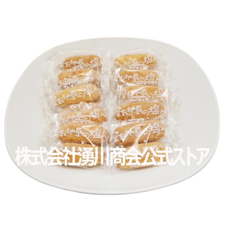 名嘉真製菓本舗 ちんすこう20個 屋我地島の塩入りちんすこう名嘉真製菓