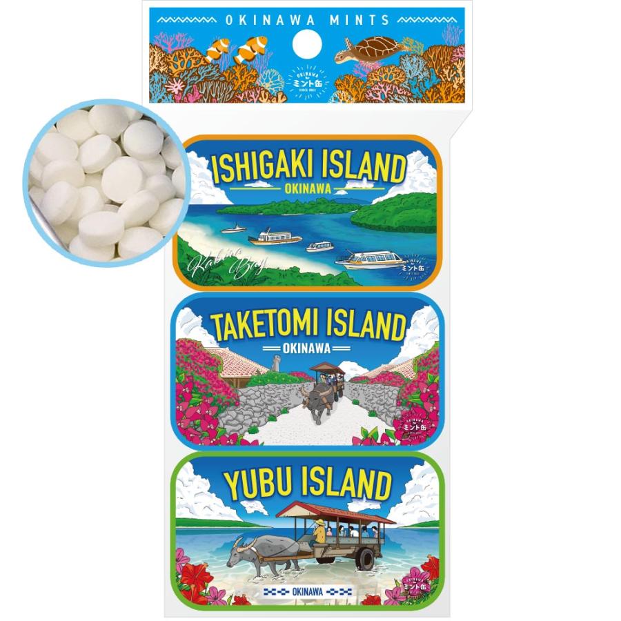沖縄長生薬草本社 ミント缶 OKINAWAミント缶 16g 3缶セット 石垣