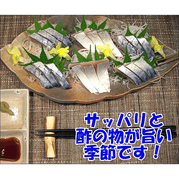 青森県八戸発 うれしい皮むき済 しめ鯖３枚セット シメサバ サバ 〆鯖 しめ鯖 Za027 神戸中央卸売市場 マルサ財木 通販 Yahoo ショッピング